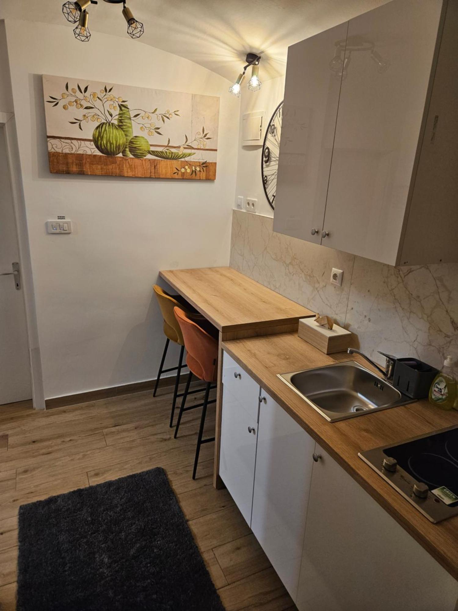 Apartment Maja - Strict Center Of Загреб Екстериор снимка