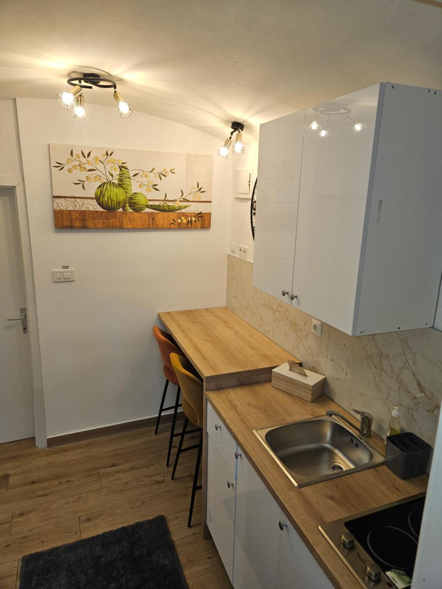 Apartment Maja - Strict Center Of Загреб Екстериор снимка